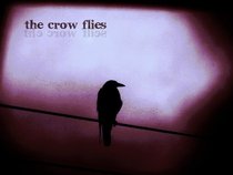 The Crow Flies