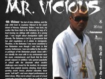 Mr. Vicious 305