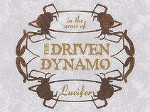 The Driven Dynamo
