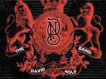 The David Nolf Band