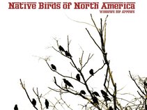 Native Birds of North America