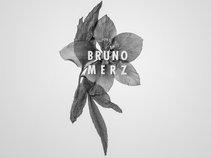 Bruno Merz