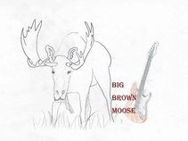 Big Brown Moose