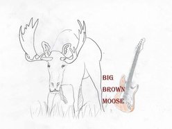 Image for Big Brown Moose