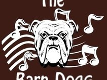 The Barn Dogs