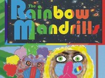 The Rainbow Mandrills