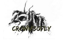 CrowWsoFly