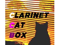 Clarinet Cat Box