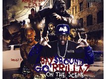 Bay$Bound Go"Rrillaz "On The Scene"