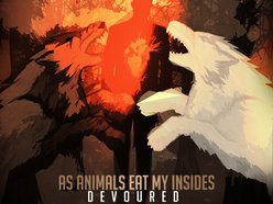 Image for As Animals Eat My Insides