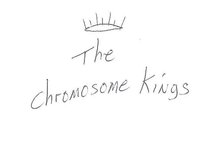 The Chromosome Kings