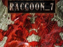 Raccoon_7