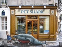 Image for PET SHARK
