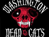 Washington Dead Cats