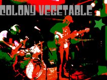 Colony Vegetable