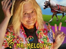 Mr. Melody™