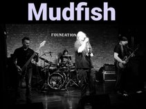 Mudfish