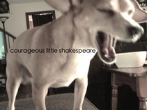 courageous little shakespeare