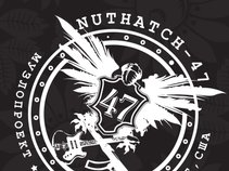 NUTHATCH-47