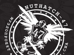 Image for NUTHATCH-47