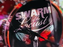 Swarm of the Locust