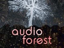 AudioForest