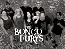 the Bongo Furys