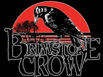 BRIMSTONE CROW