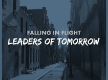 Falling in Flight