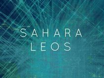 Sahara Leos