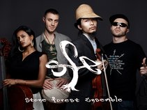 Stone Forest Ensemble