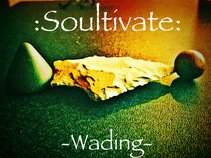 Soultivate