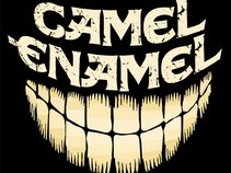 Camel Enamel