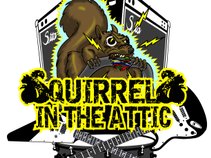 Squirrels in the Attic