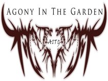 AITG/Agony In The Garden