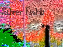 Silver Dahli