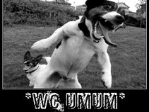 WC UMUM Band Grunge