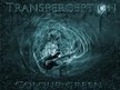 Transperception