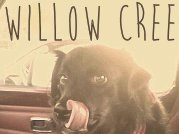 Willow Cree