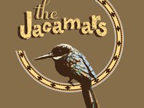 The Jacamars