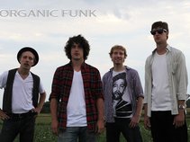 Organic Funk