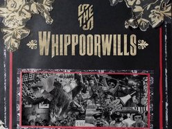 Image for The Whippoorwills