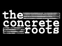 concrete roots