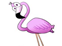 Flamingo Town