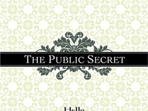 The Public Secret