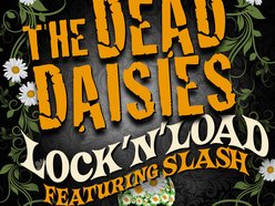 Image for The Dead Daisies
