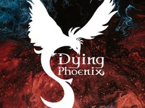 Dying Phoenix