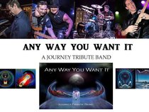 "ANY WAY YOU WANT IT" A Journey Tribute Band