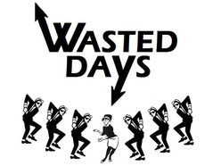 Image for Wasted Days
