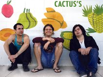 Cactus's